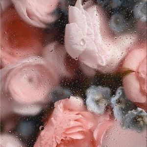 Meet your Posher, Eleora